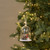 CARDINAL IN GLASS DOME ORNAMENT