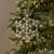 8.25" GOLD FUSED SNOWFLAKE ORNAMENT