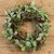 24" ICY MIXED LEAF WREATH W/ RED BERRIES & CONES