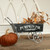 BLACK PUMPKIN PIE WHEELBARROW