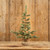 24" FOXTAIL PINE TREE W/BURLAP BASE