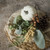 16" EUCALYPTUS, PUMPKIN, BERRIES & CONE PICK
