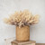 17.75" CREAM & PURPLE PAMPAS GRASS BUNDLE