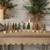 SET/ 12 - 3.25" MUTED  BOTTLEBRUSH TREES