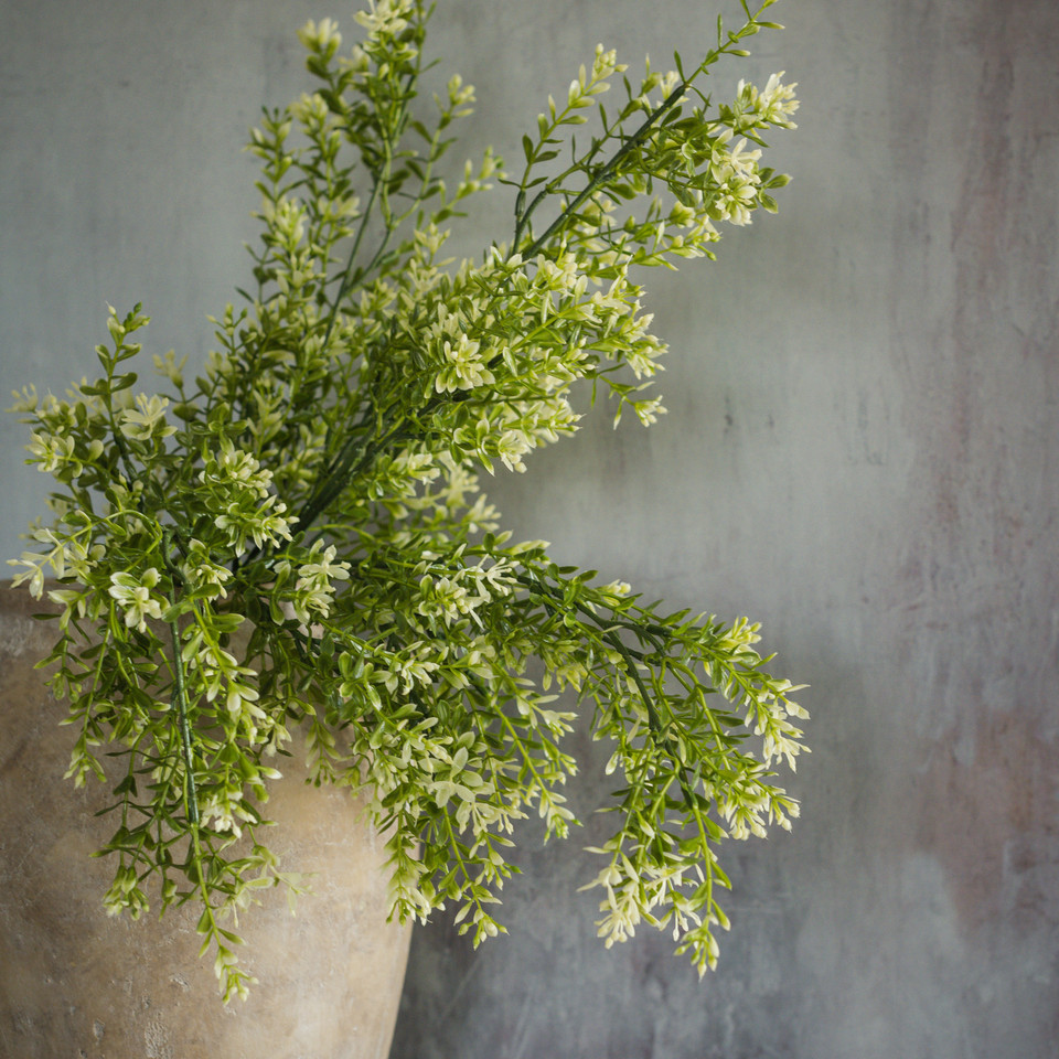 28" NEW ENGLAND BOXWOOD & BERRIES SPRAY