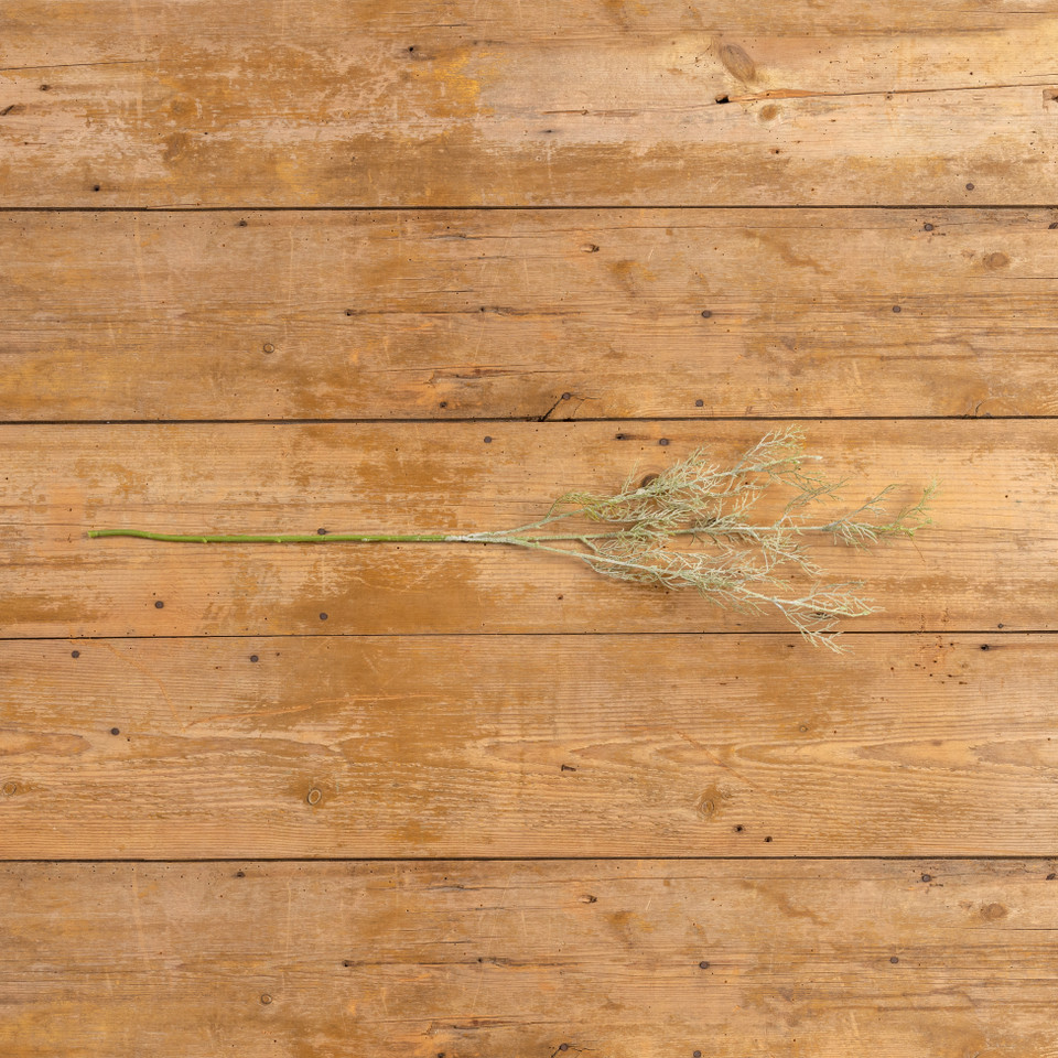 34" WISPY GREEN ASPARAGUS SPRAY