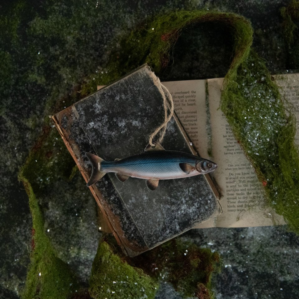 BLUE SALMON FISH ORNAMENT