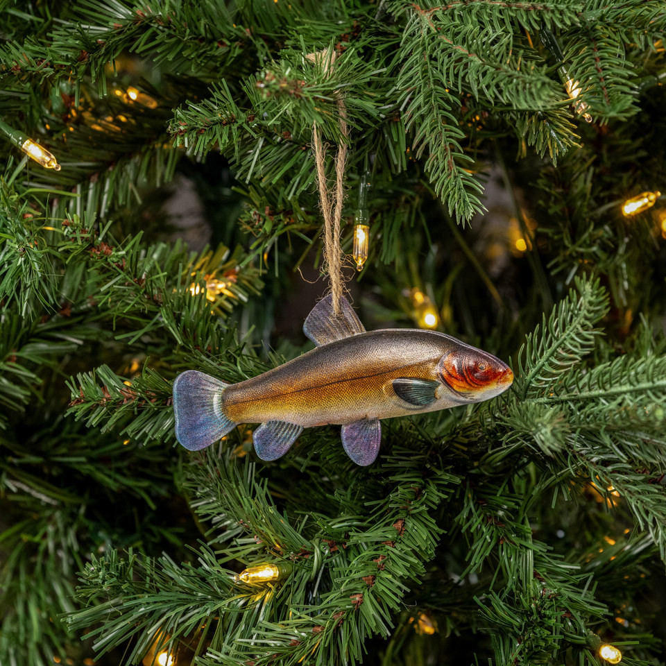 TENCH FISH ORNAMENT