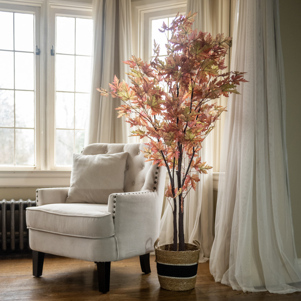 5' FALL MAPLE LEAF TREE