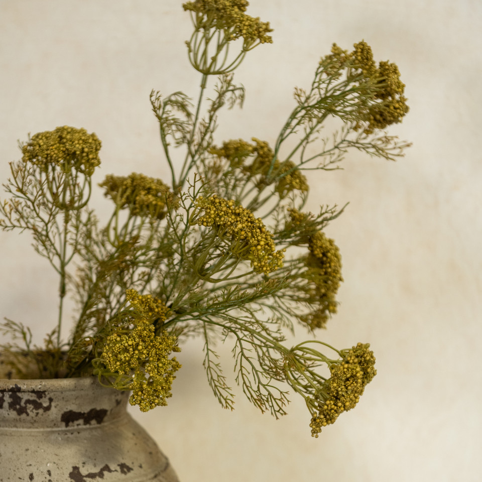 28" GREEN QUEEN ANNE LACE SPRAY