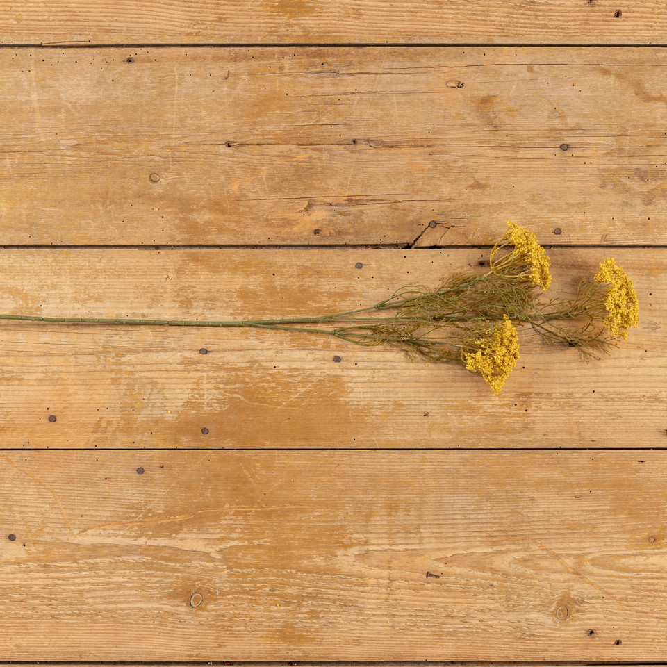 28" GOLD QUEEN ANNE LACE SPRAY