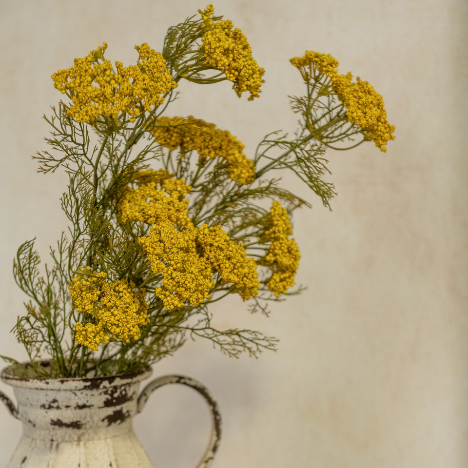 28" GOLD QUEEN ANNE LACE SPRAY