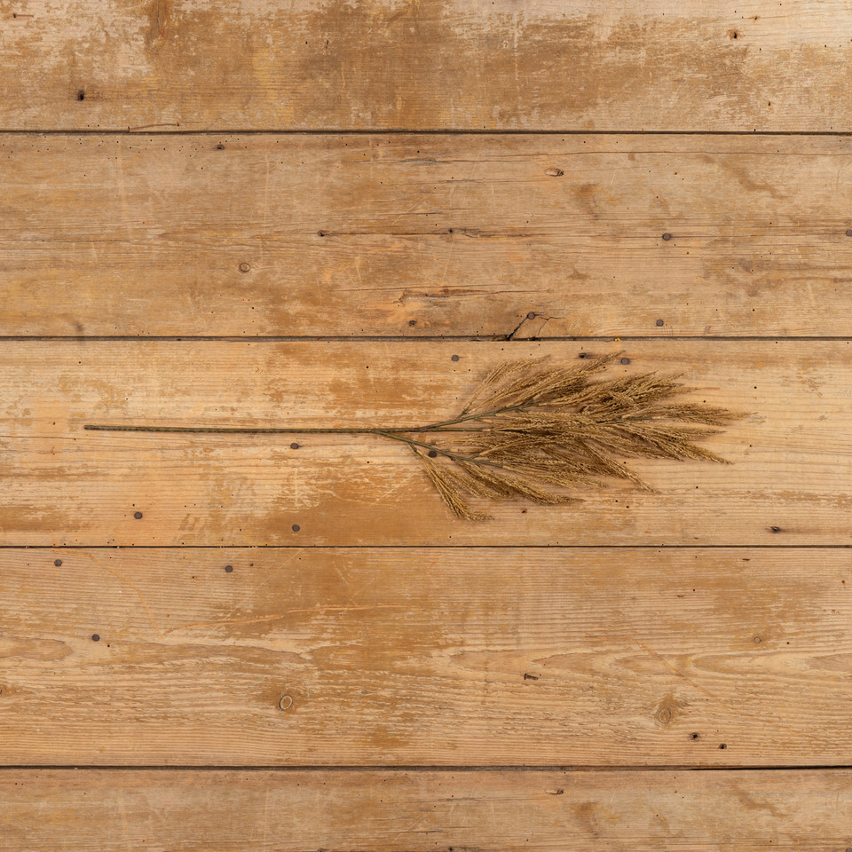 28" DARK GOLD WHEAT SPRAY