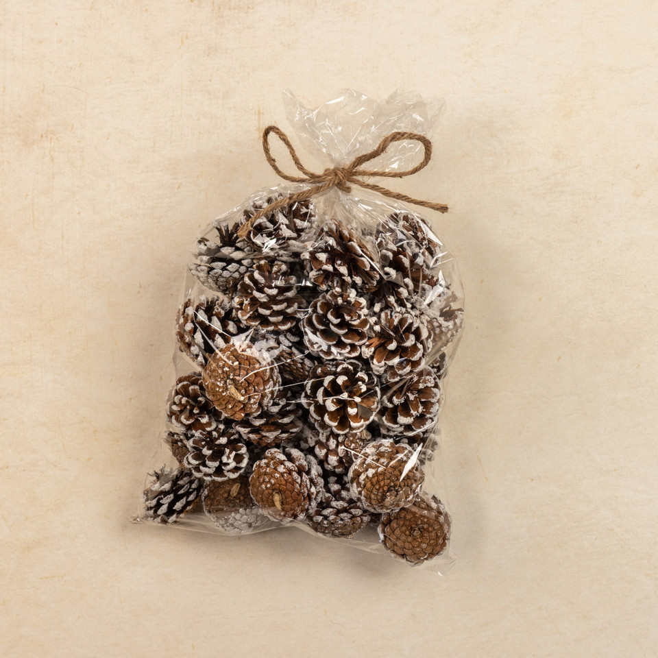 BAG OF SNOWY PINECONES