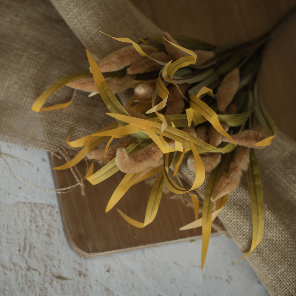 19" COFFEE FOXTAIL BUSH