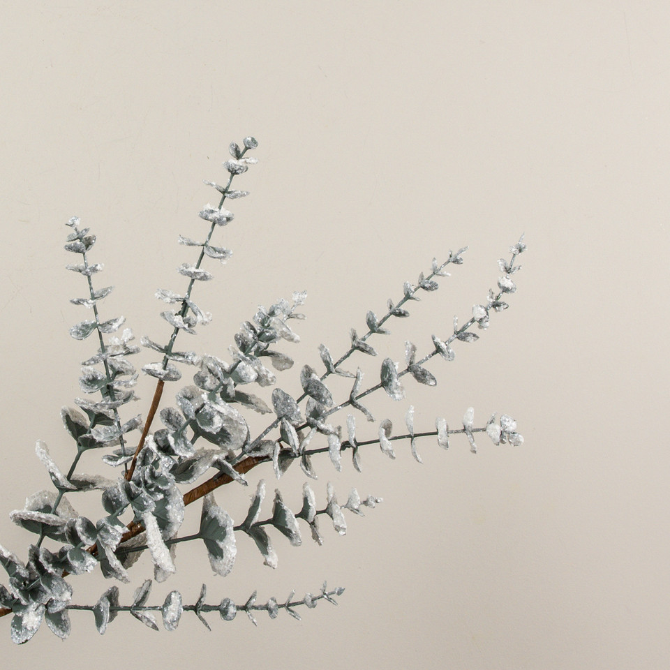 26" SNOWY EUCALYPTUS SPRAY