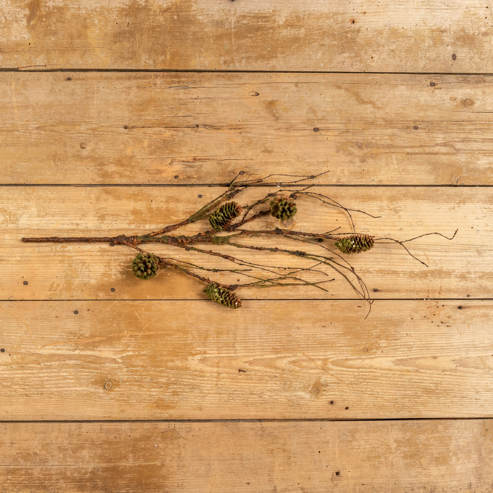 26" MOSSY PINECONE & TWIG SPRAY
