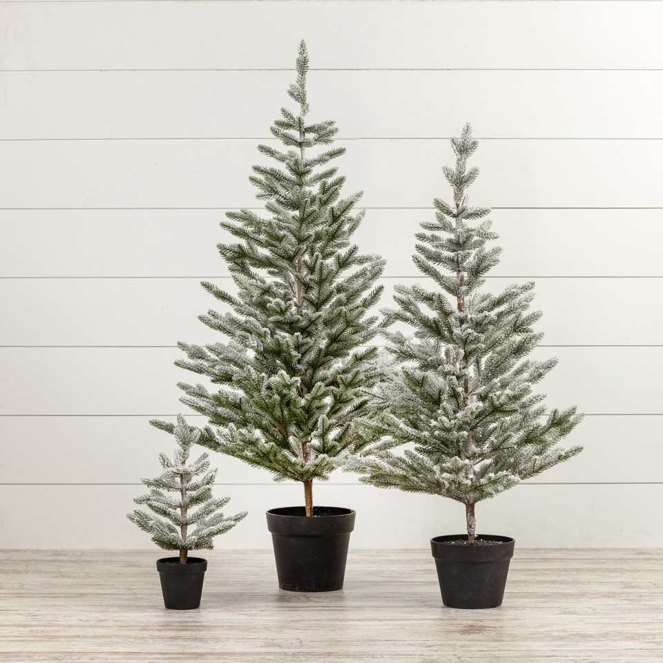 15.75" SNOWY PINE W/ PLASTIC POT