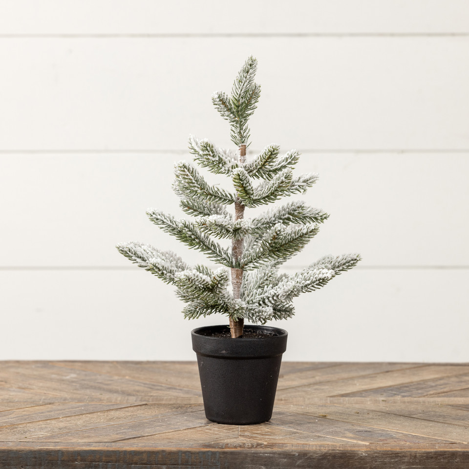 15.75" SNOWY PINE W/ PLASTIC POT