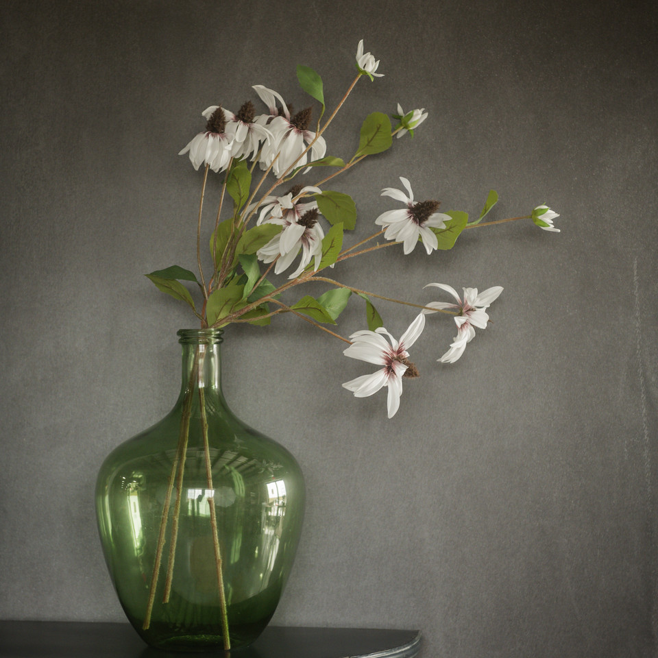 33" WHITE BLACK-EYED SUSAN SPRAY