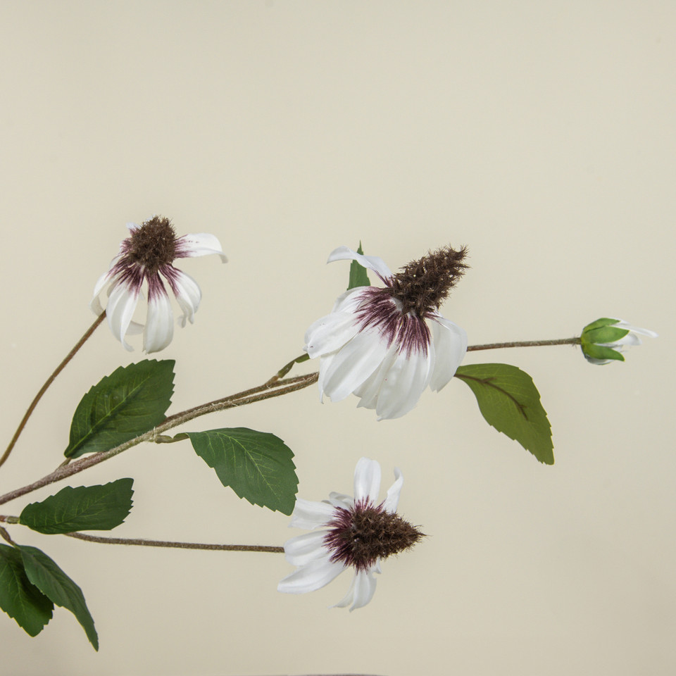 33" WHITE BLACK-EYED SUSAN SPRAY