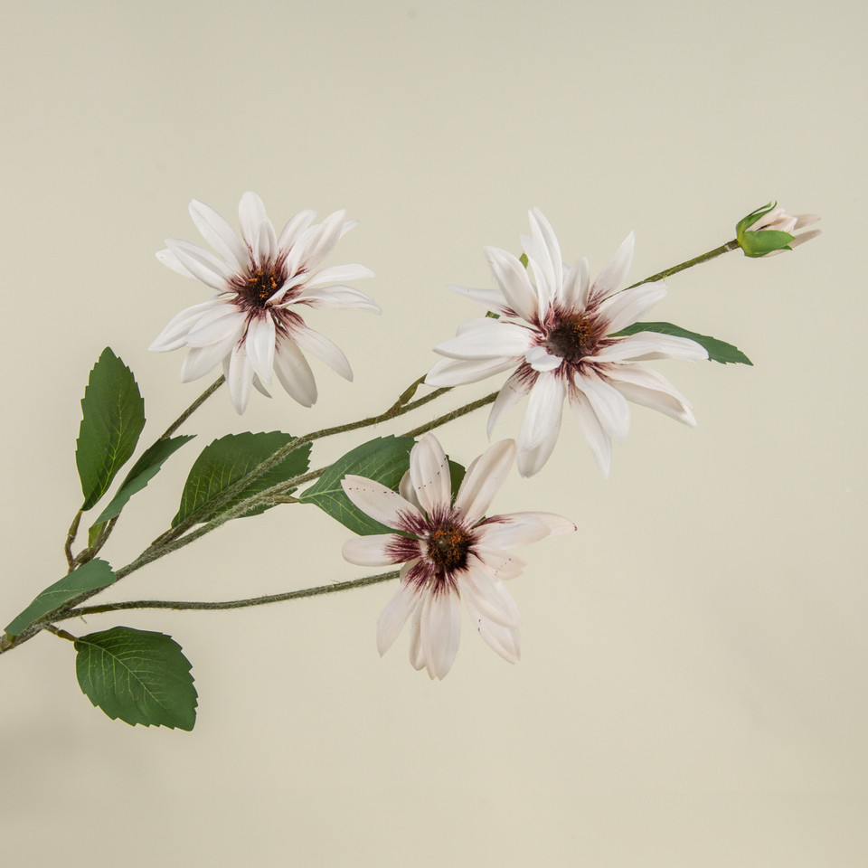 33" LIGHT PINK DAISY SPRAY
