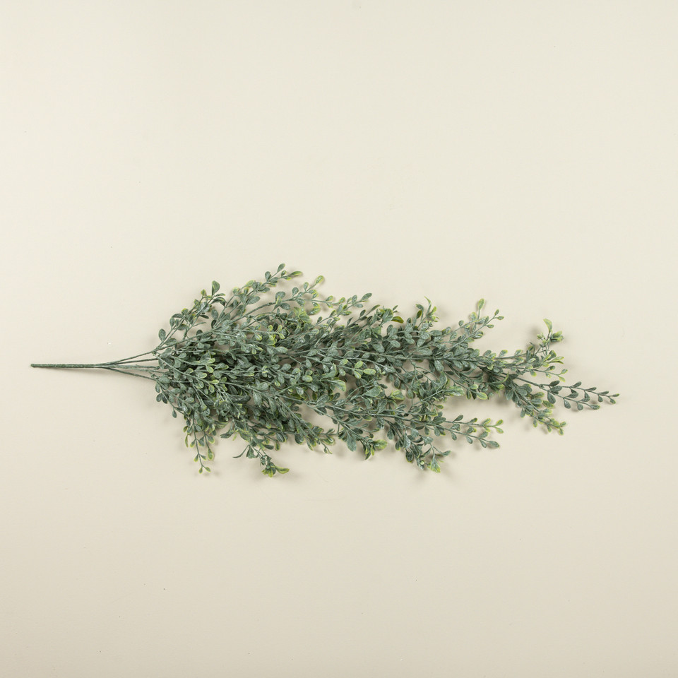 32" ENGLISH BOXWOOD HANGING BUSH
