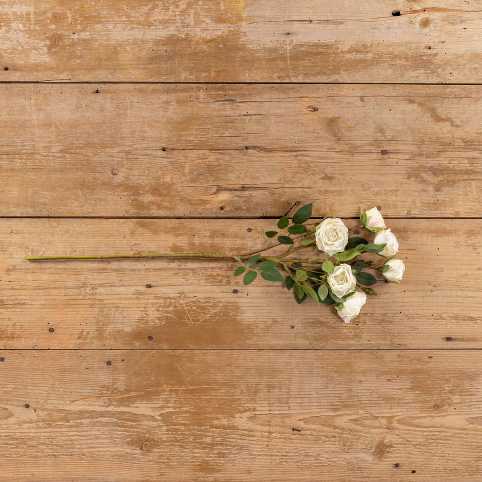 25" CREAM ROSE SPRAY