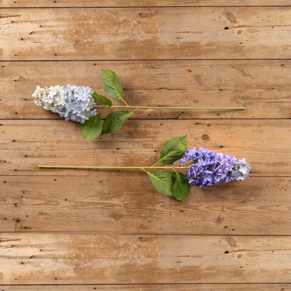 32" PURPLE CONE HYDRANGEA STEM