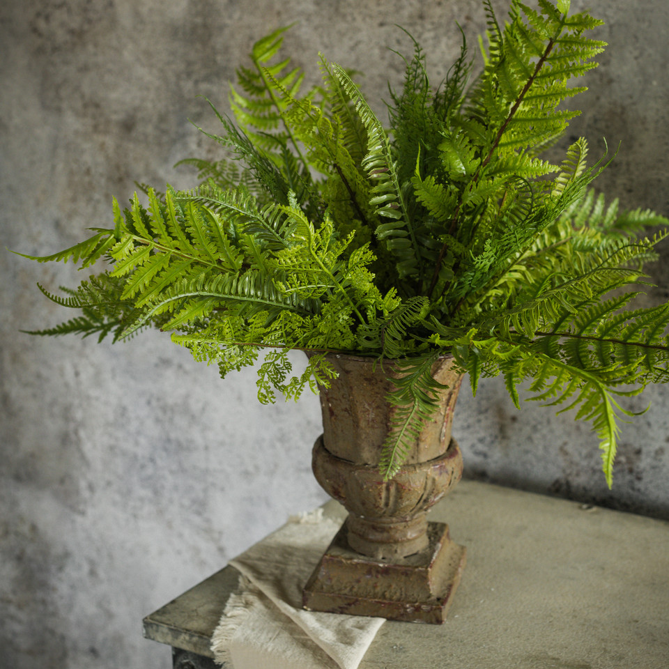 22" LACEY FERN BUSH