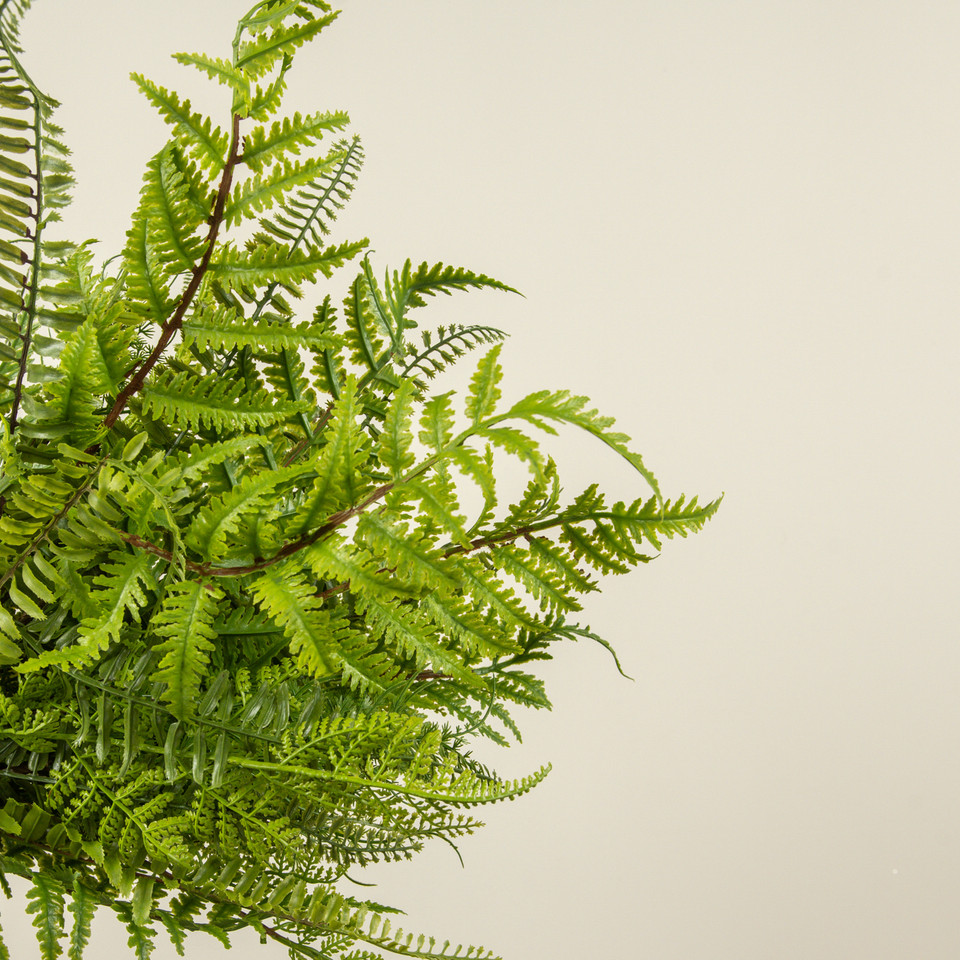 22" LACEY FERN BUSH