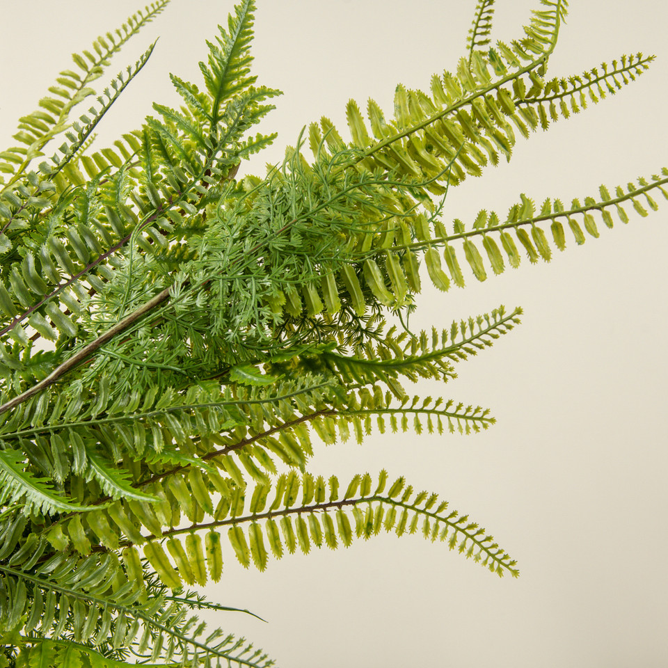 32" LACEY FERN HANGING BUSH