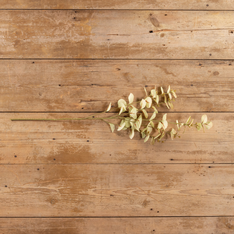 33" PALE GREEN EUCALYPTUS SPRAY