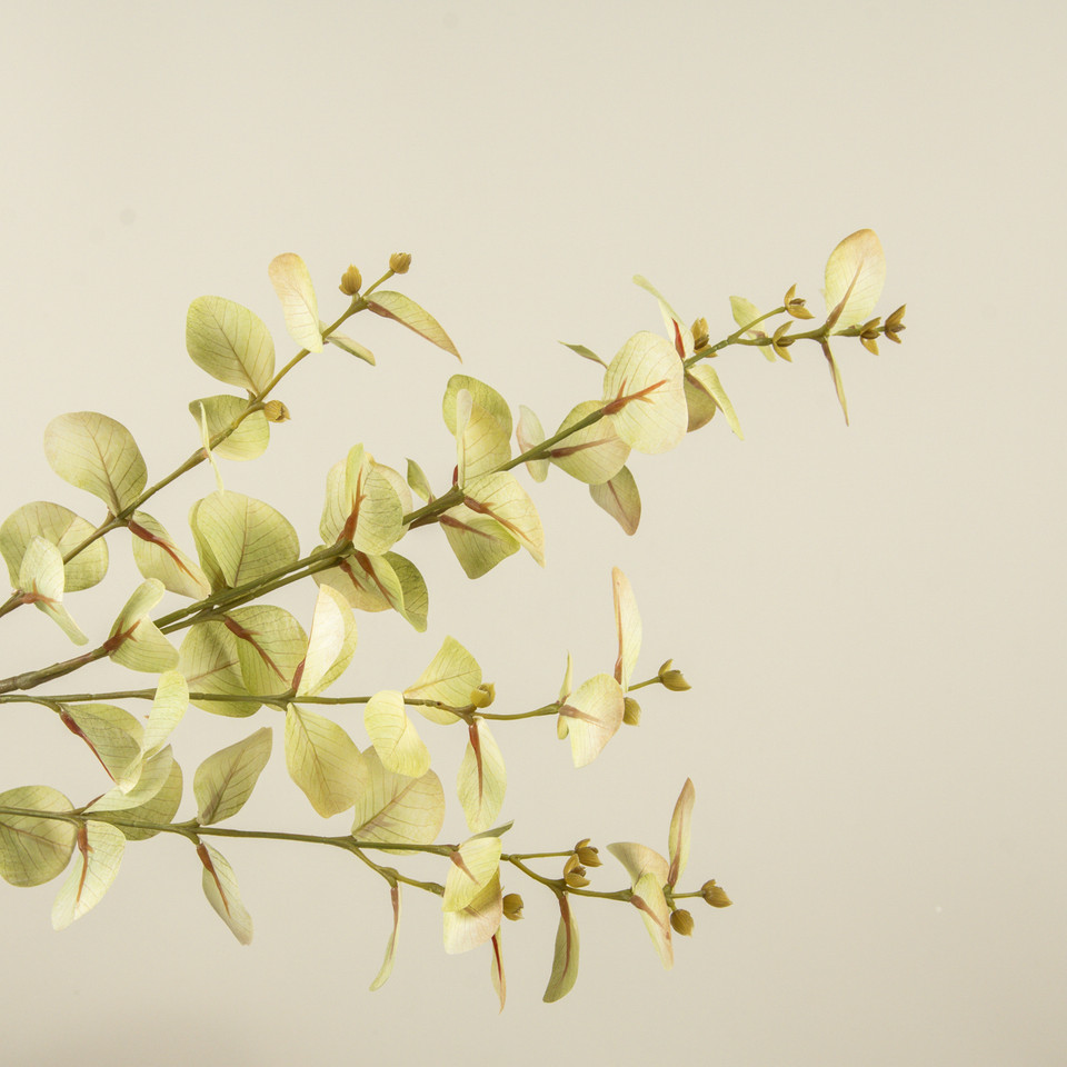 33" PALE GREEN EUCALYPTUS SPRAY