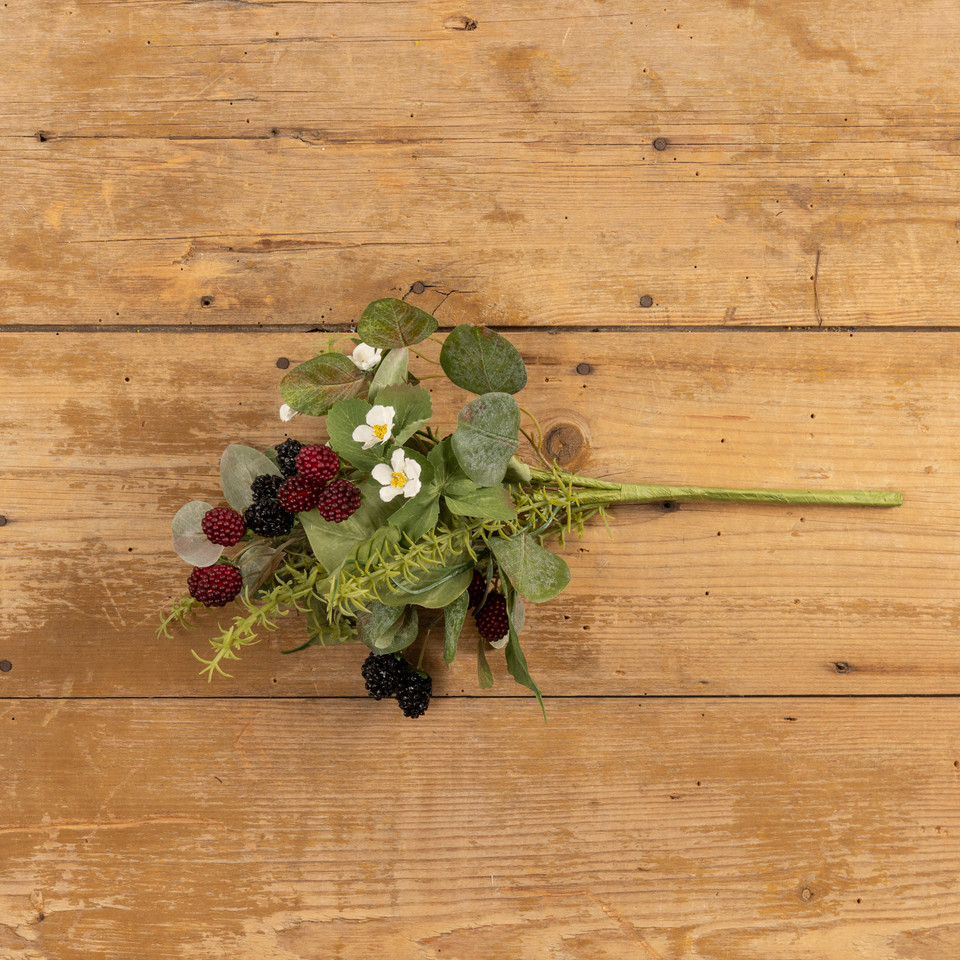 14" BLACKBERRY & RASPBERRY BUSH