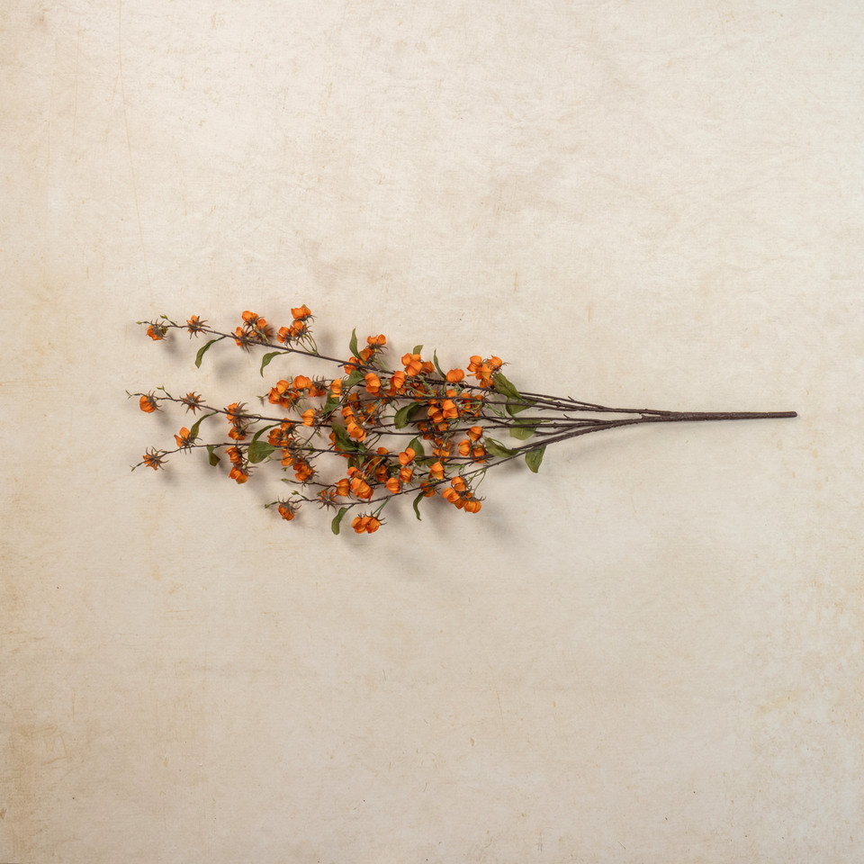 36" ORANGE WILD LANTERN BUSH