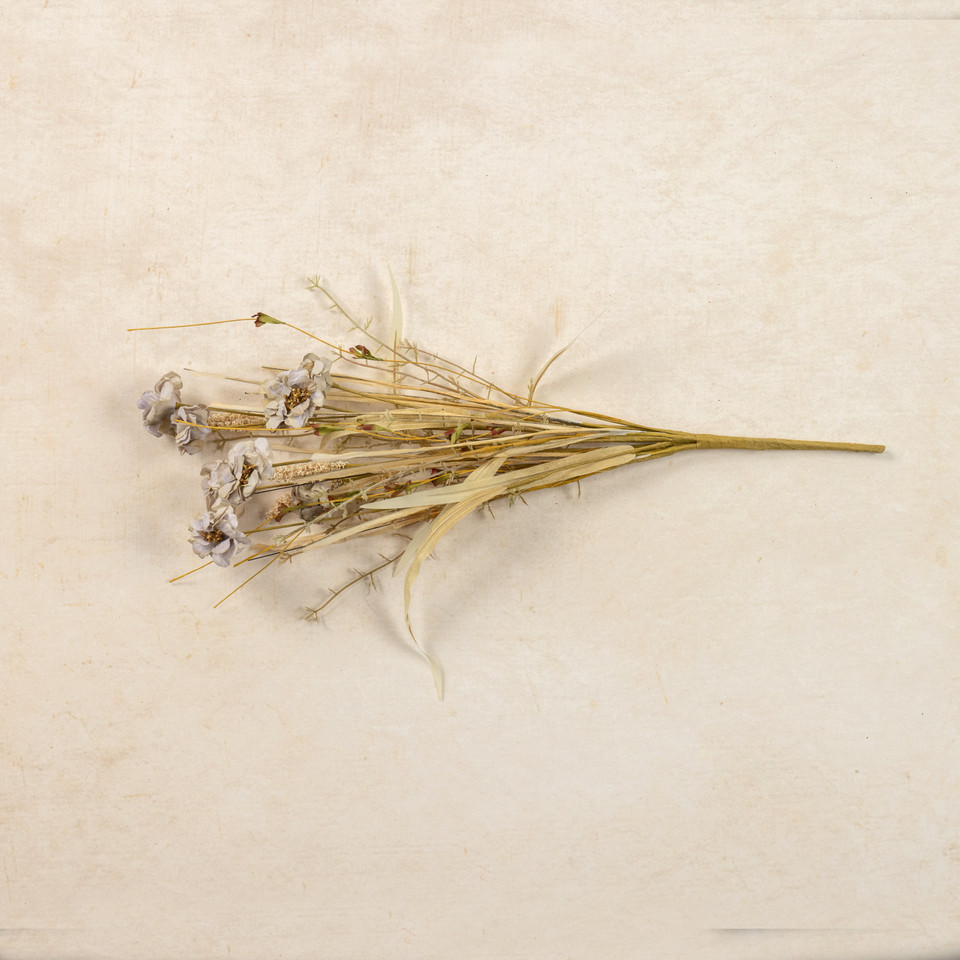 20" BEIGE & GREY WILD FLOWER & GRASS BUSH