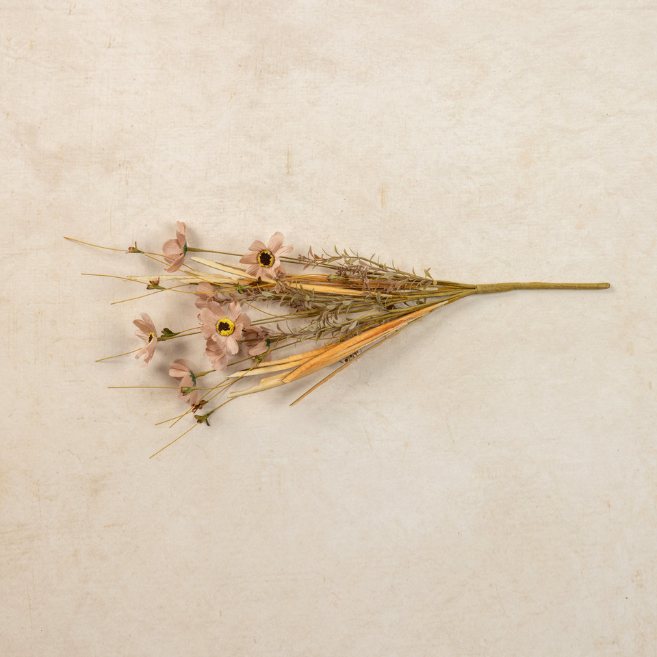 21" TAN COSMOS BUSH