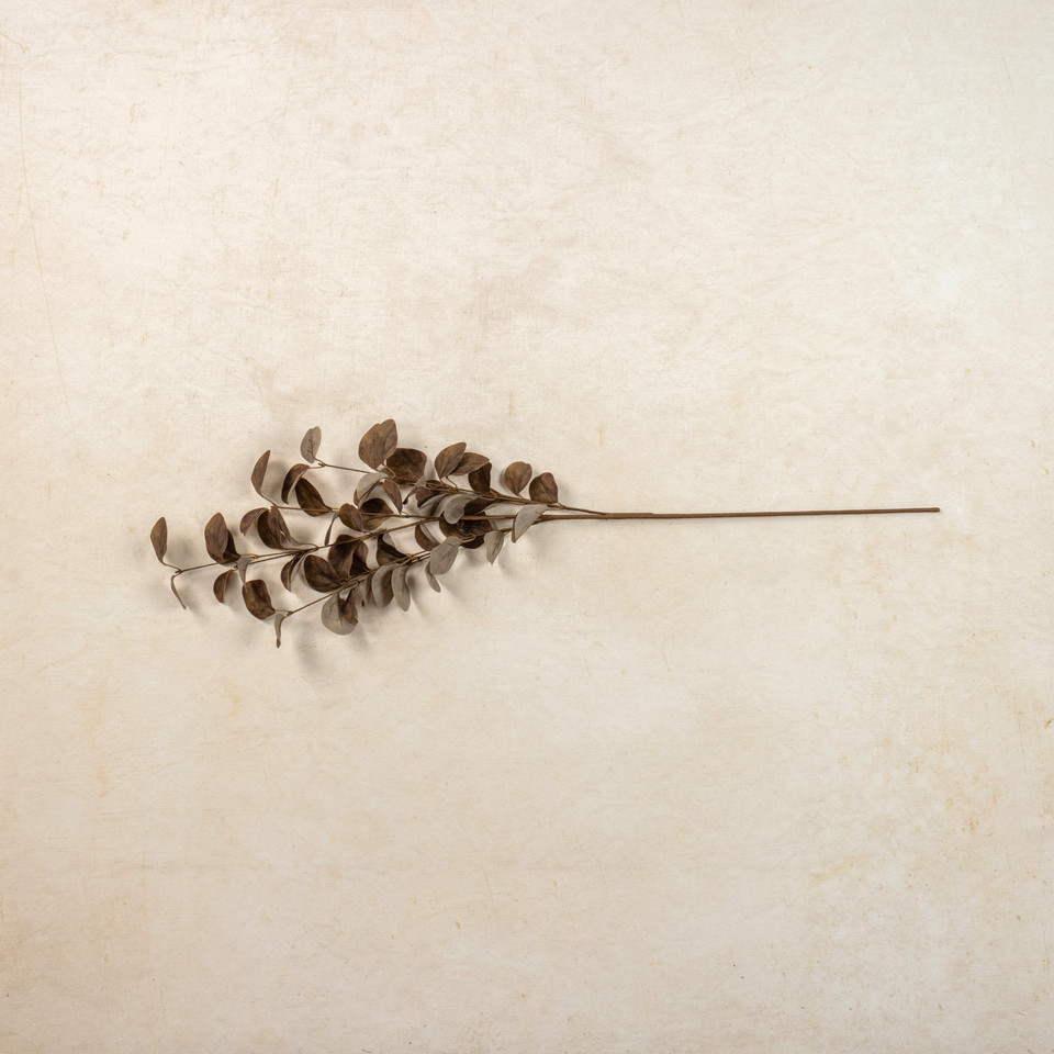 34.5" BROWN EUCALYPTUS LEAF SPRAY