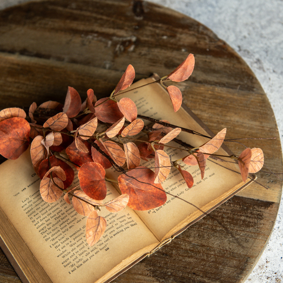 19.5" ORANGE EUCALYPTUS & TWIG PICK