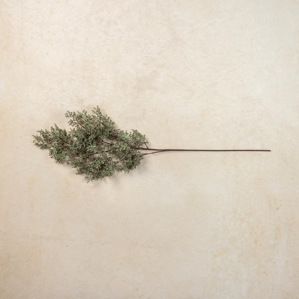 41" SAGE CASPIA SPRAY