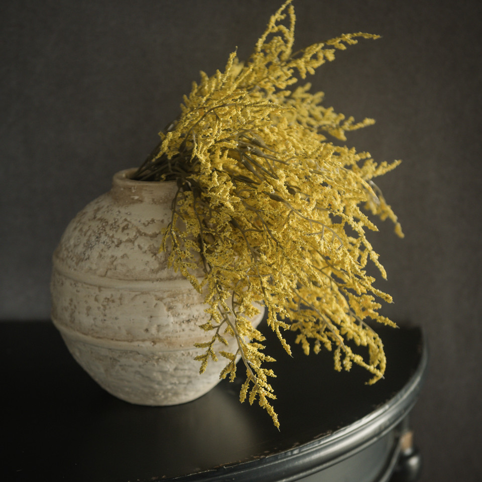 14.5" YELLOW DANCE PLANT BUSH
