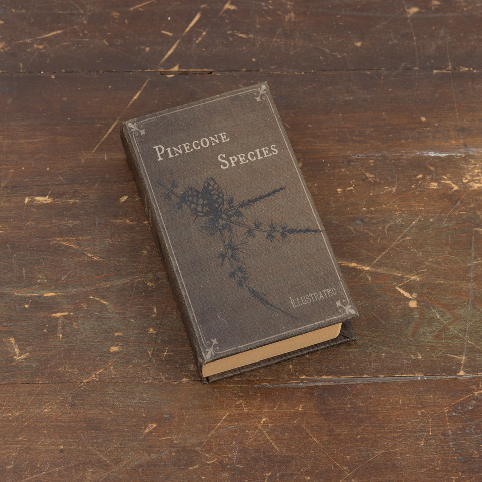 7" PINECONE SPECIES JOURNAL