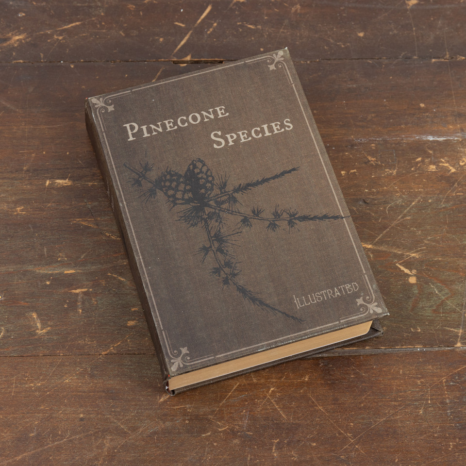 8.5" PINECONE SPECIES JOURNAL