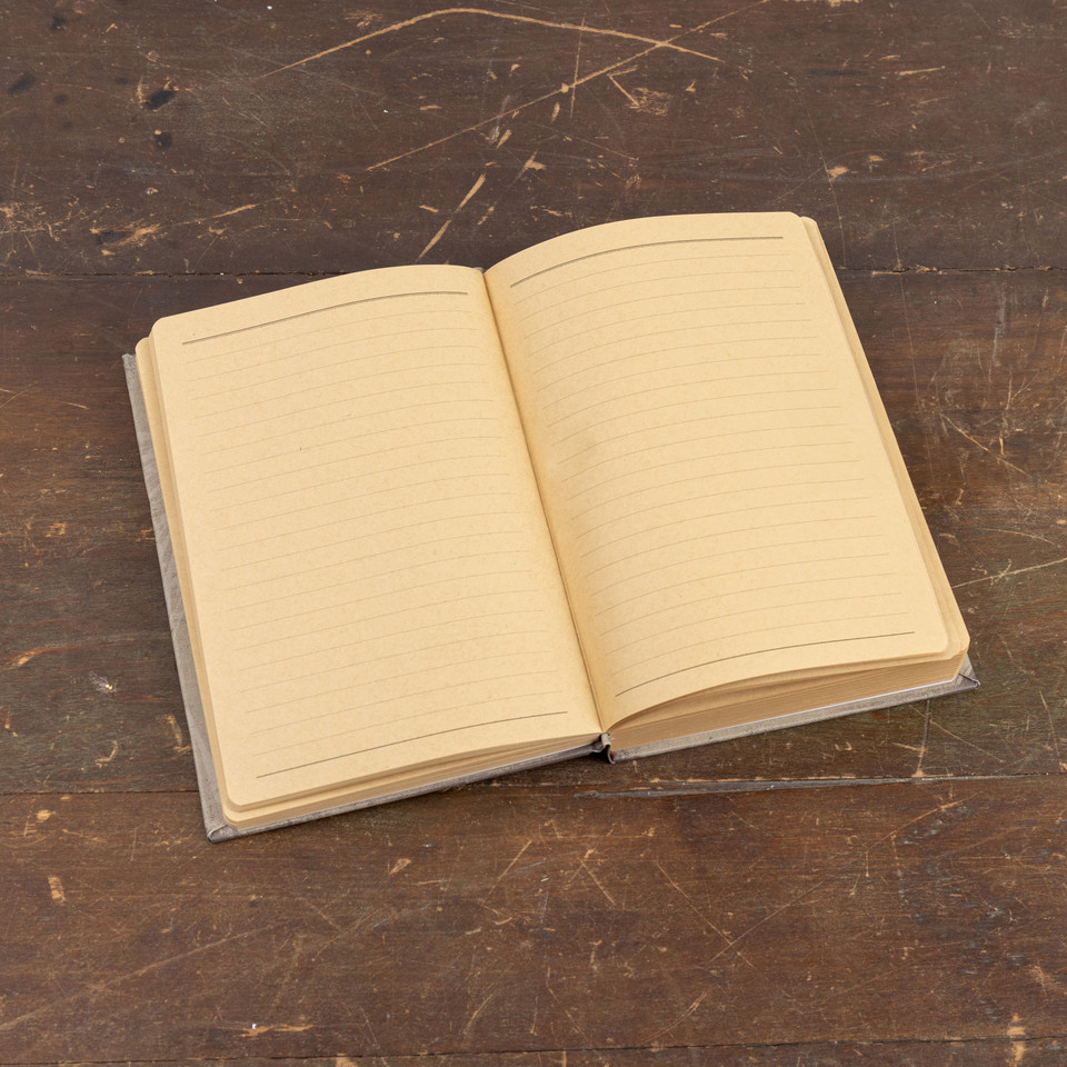 8.5" A BEGINNER'S GUIDE TO MOTHS AND BUTTERFLIES JOURNAL