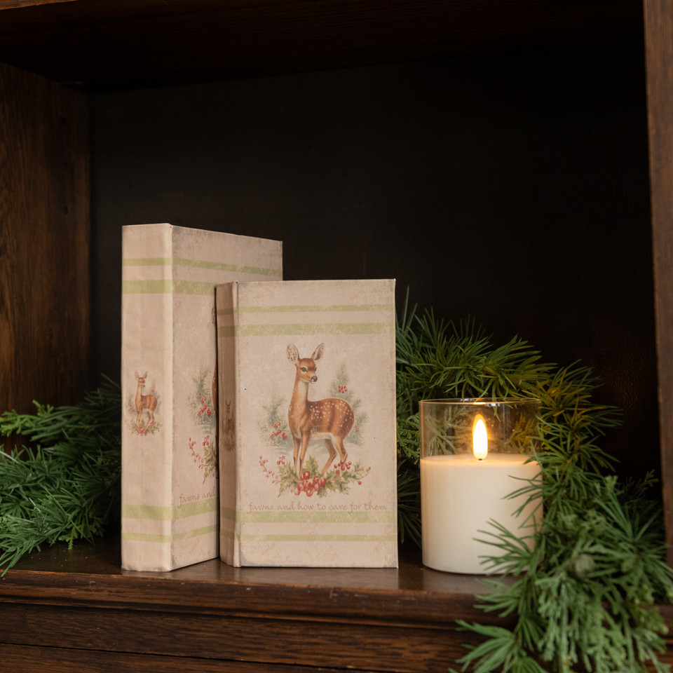 7" FAWNS AND HOW TO CARE FOR THEM JOURNAL