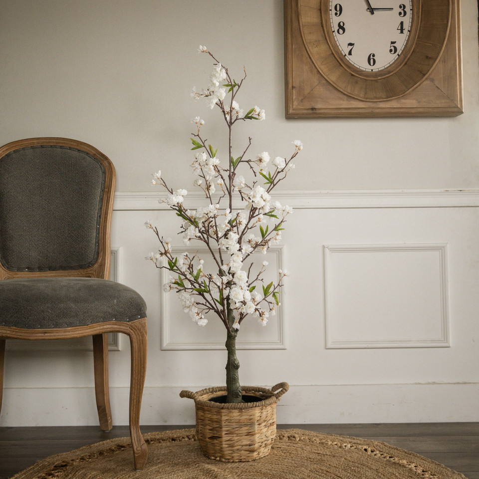 4' CHERRY BLOSSOM TREE