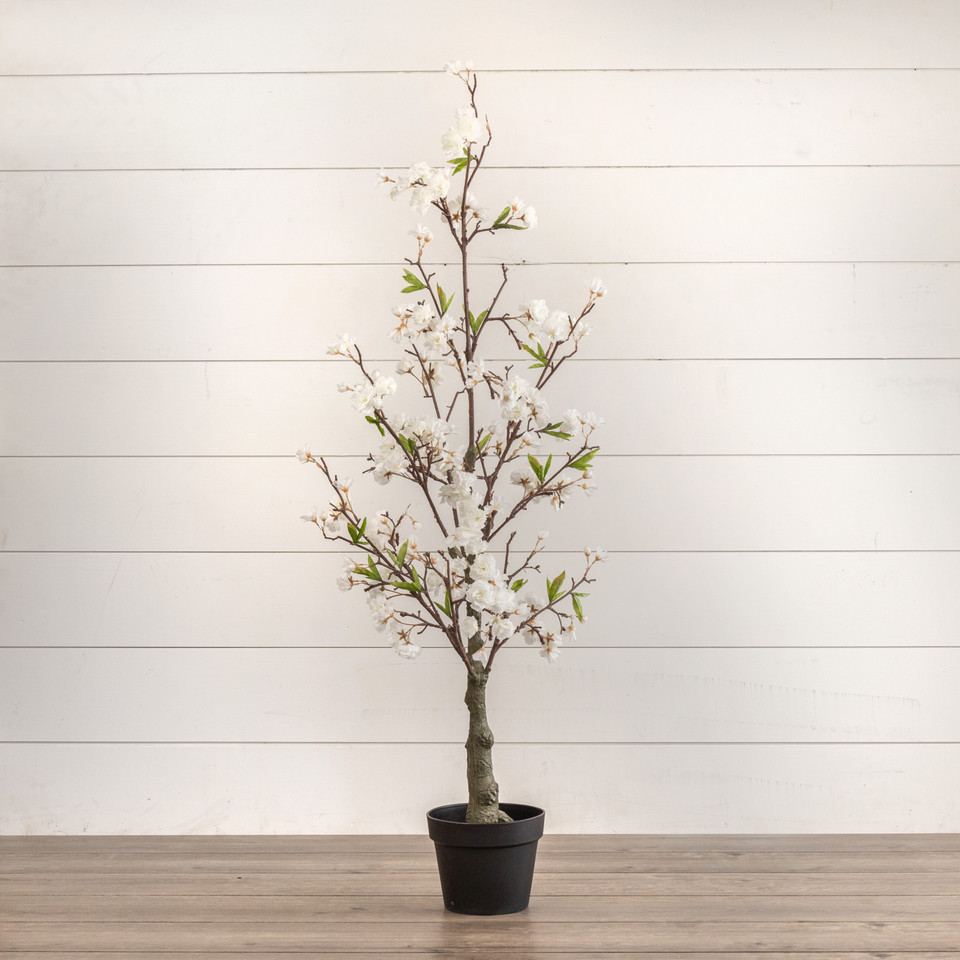 4' CHERRY BLOSSOM TREE
