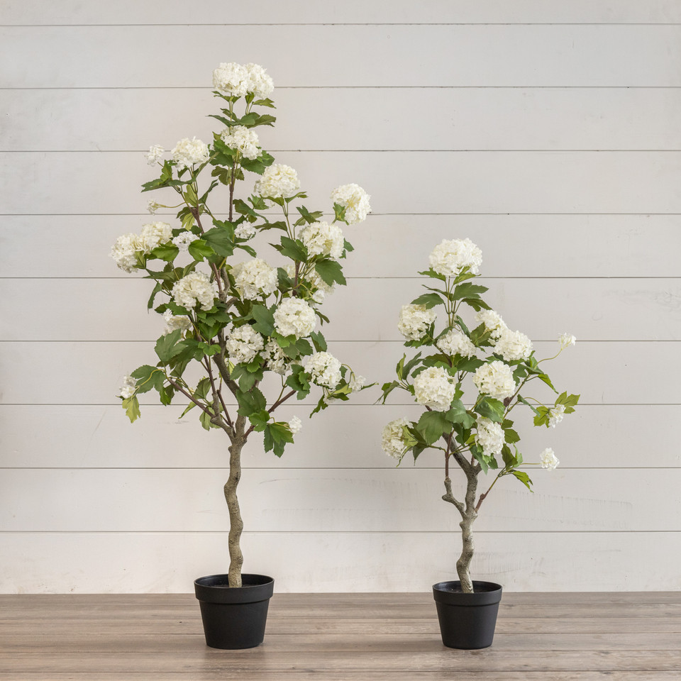 4' WHITE HYDRANGEA TREE