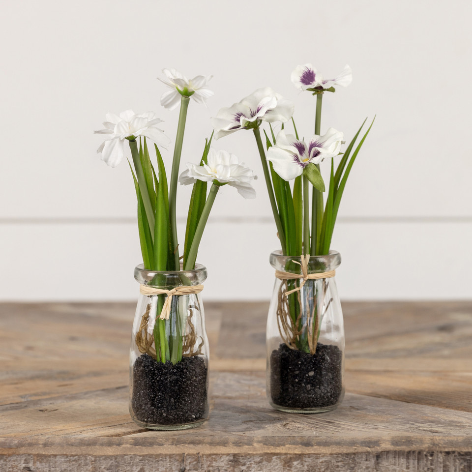 8.25" POTTED WHITE DAISY